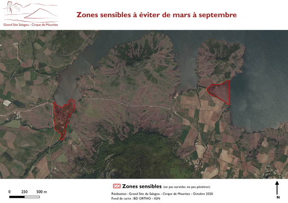 201007_Roselières_zones_sensibles (Copier).png