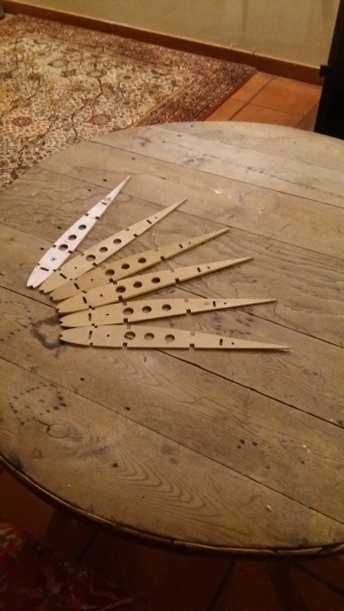 nervures d'emplanture.jpg