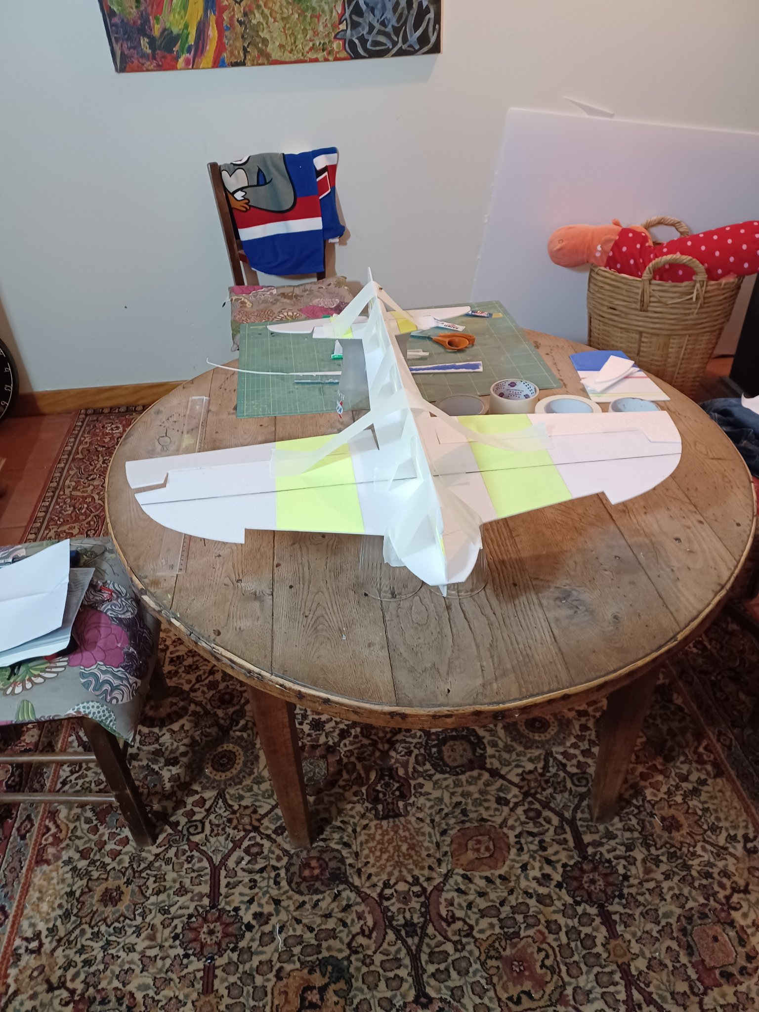 collage du fuselage dessous.jpg