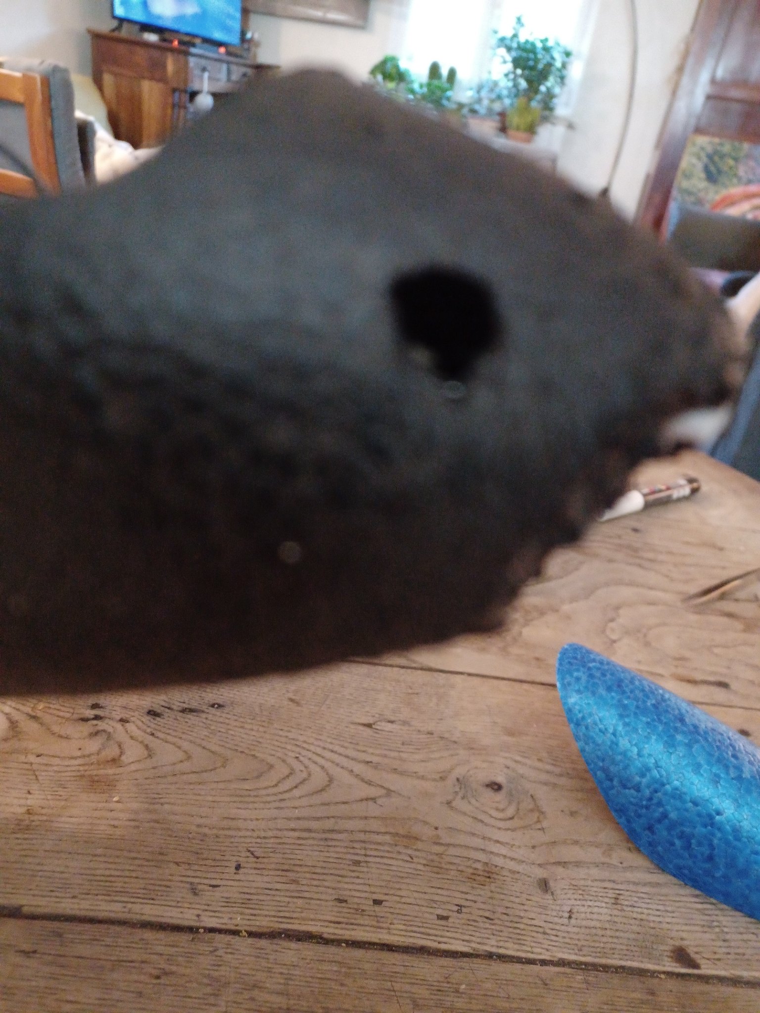 crochet de remorquage.jpg