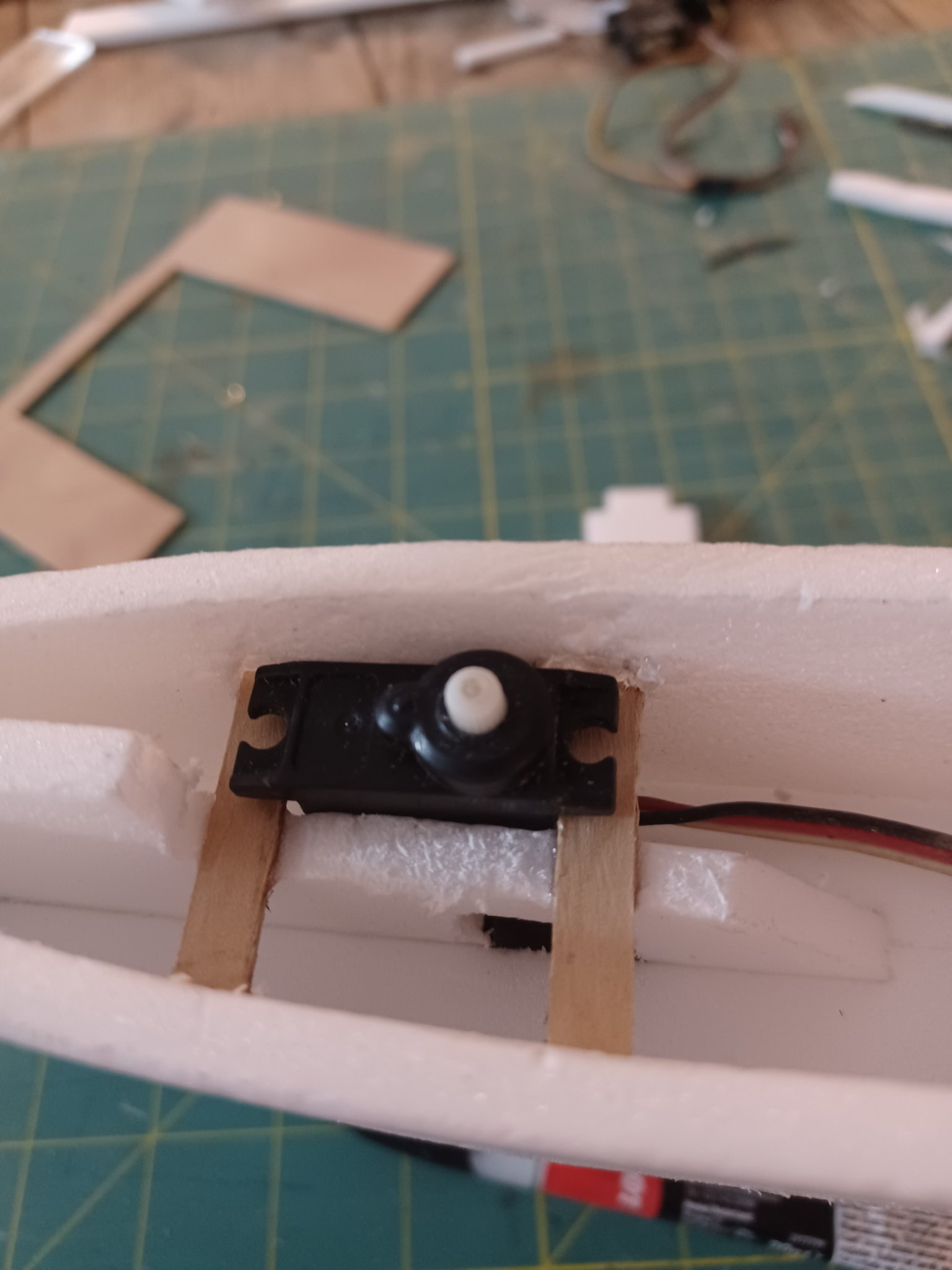 servo de profondeur.jpg