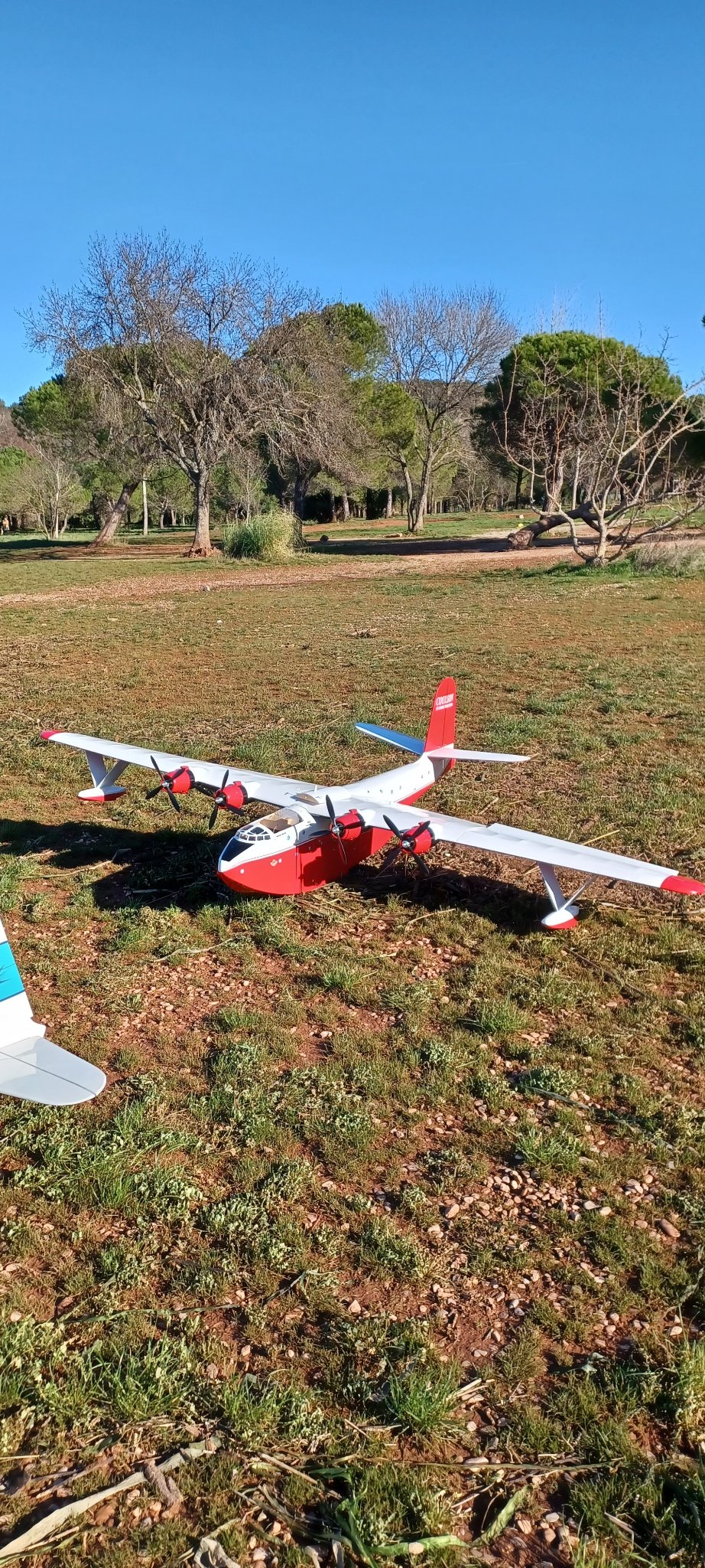 modele de pierre.jpg