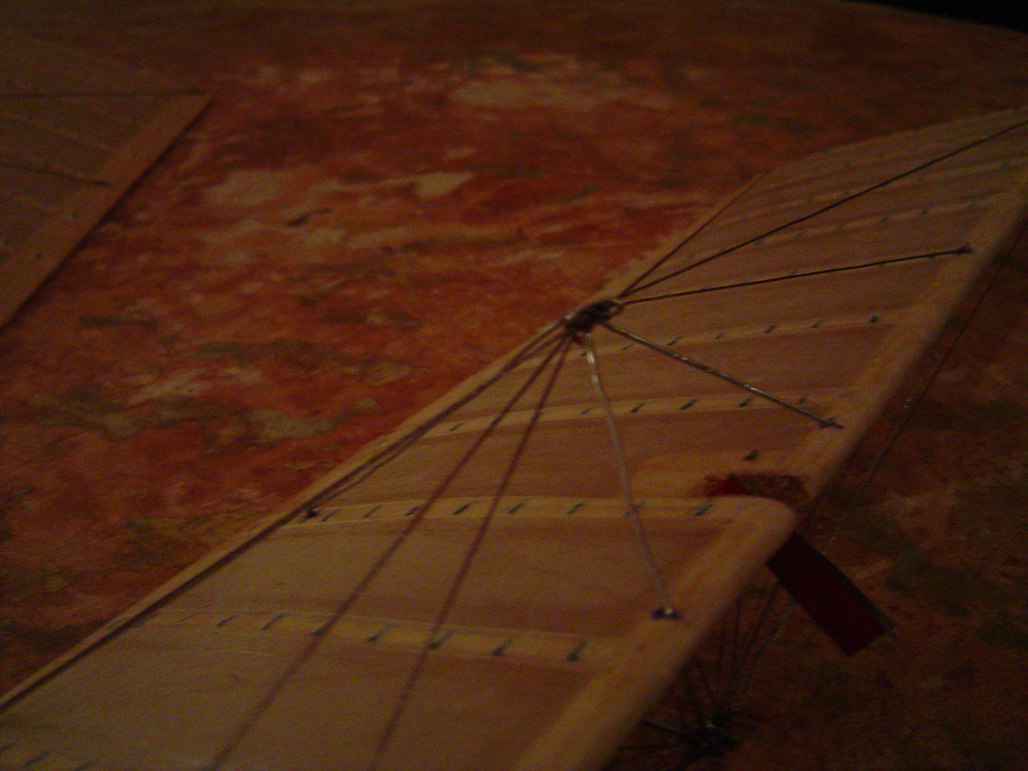 ailerons haubannés.JPG