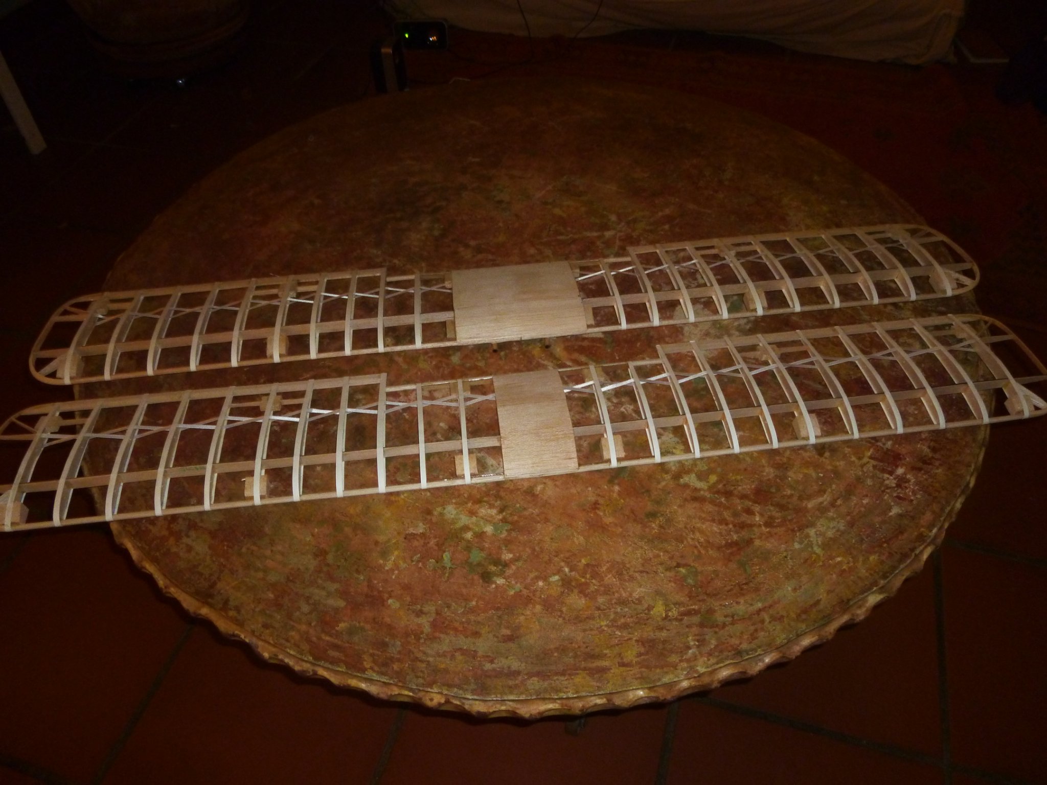 ailes avant entoilage.JPG