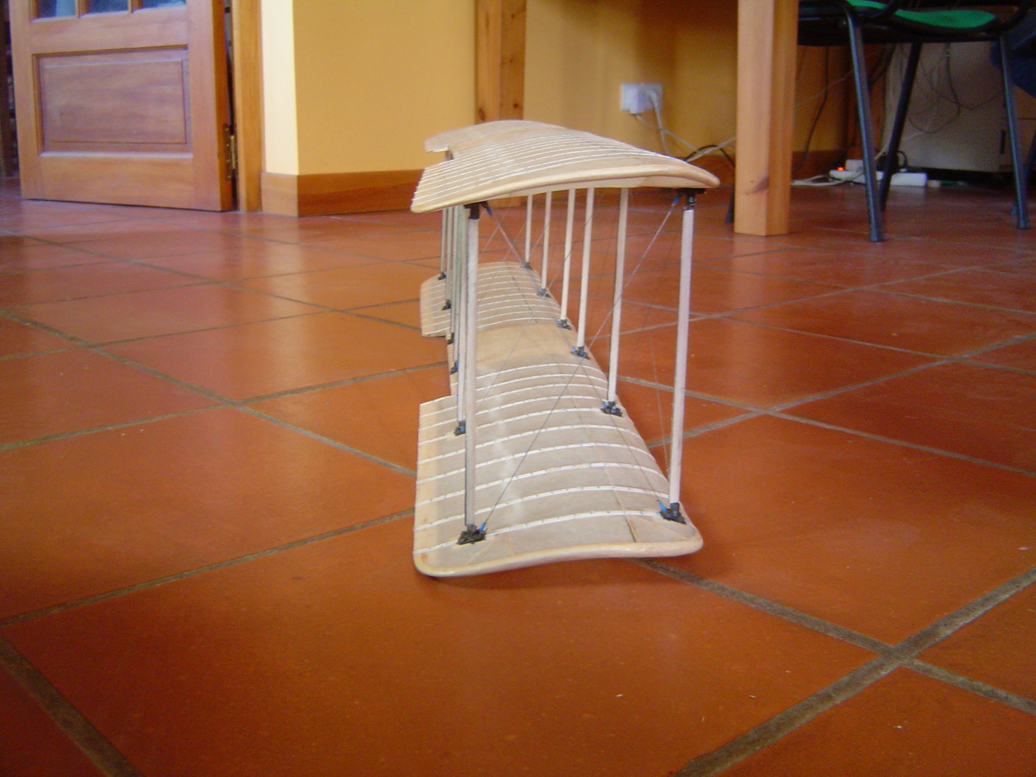 ailes montées 2.JPG