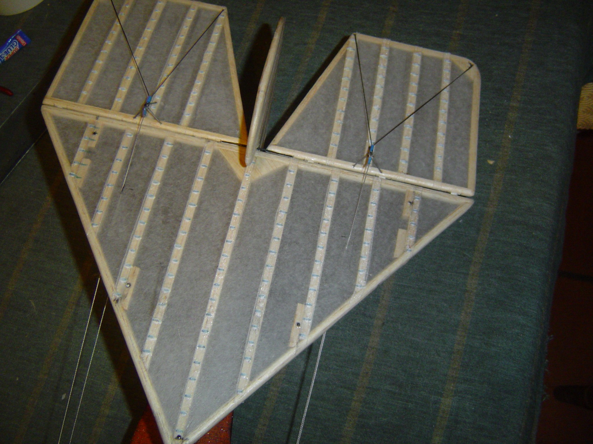 empennage vue de dessus.JPG