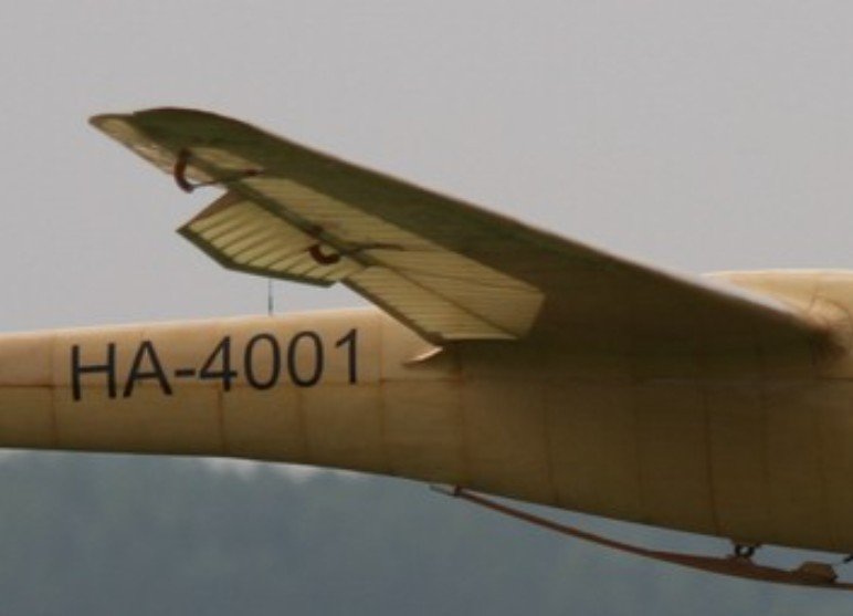 ailerons séparés en 2.jpg