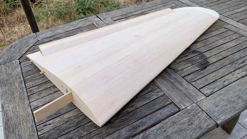 extrémité aile.jpg