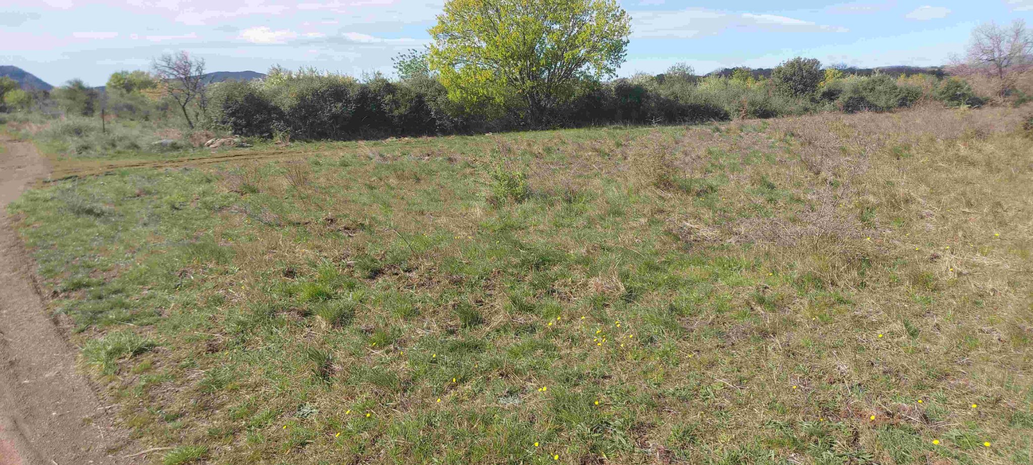 chemin et haut de la piste.jpg