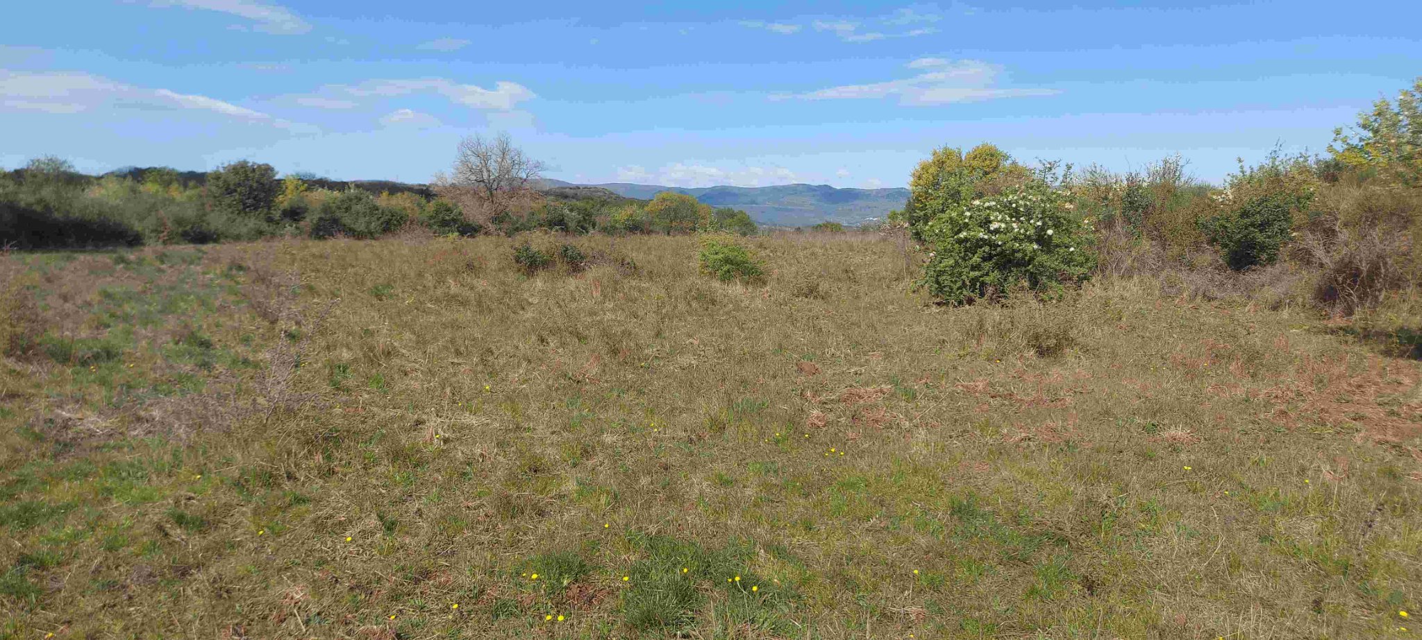 vue vers le bas 2.jpg