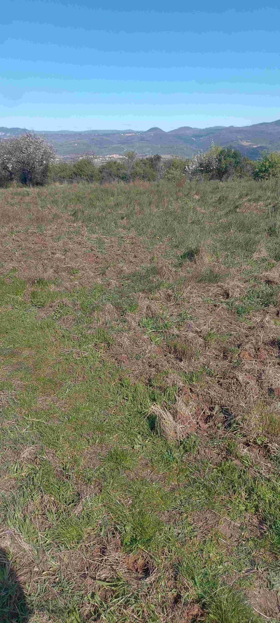 vue vers le bas de la piste.jpg