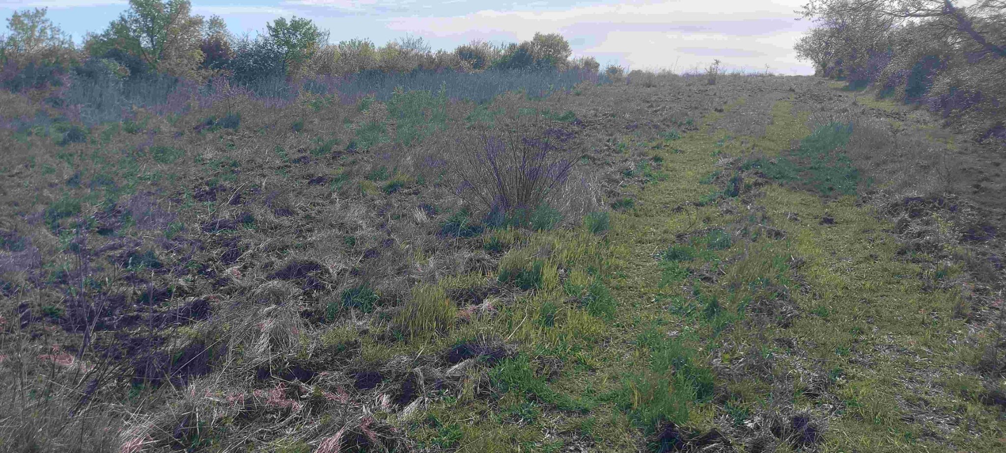 pris depuis le bas de la piste, vers le haut.jpg