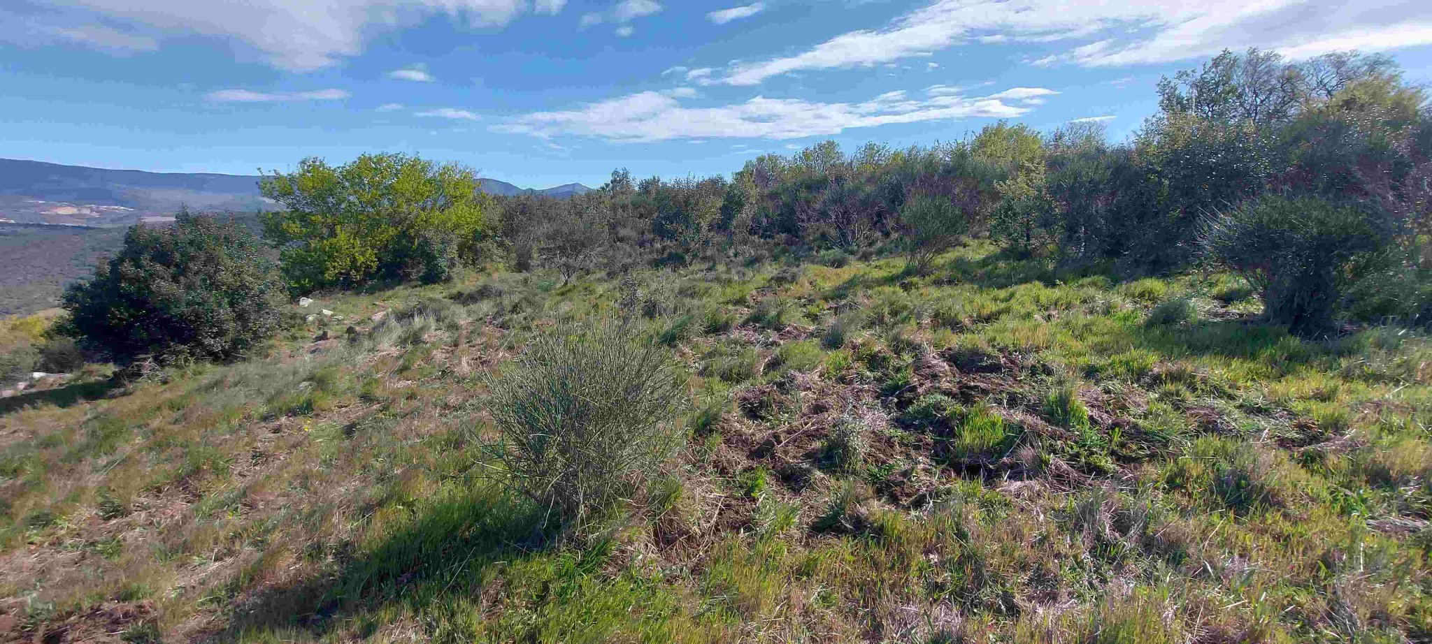 zone déco, vers l'Est.jpg