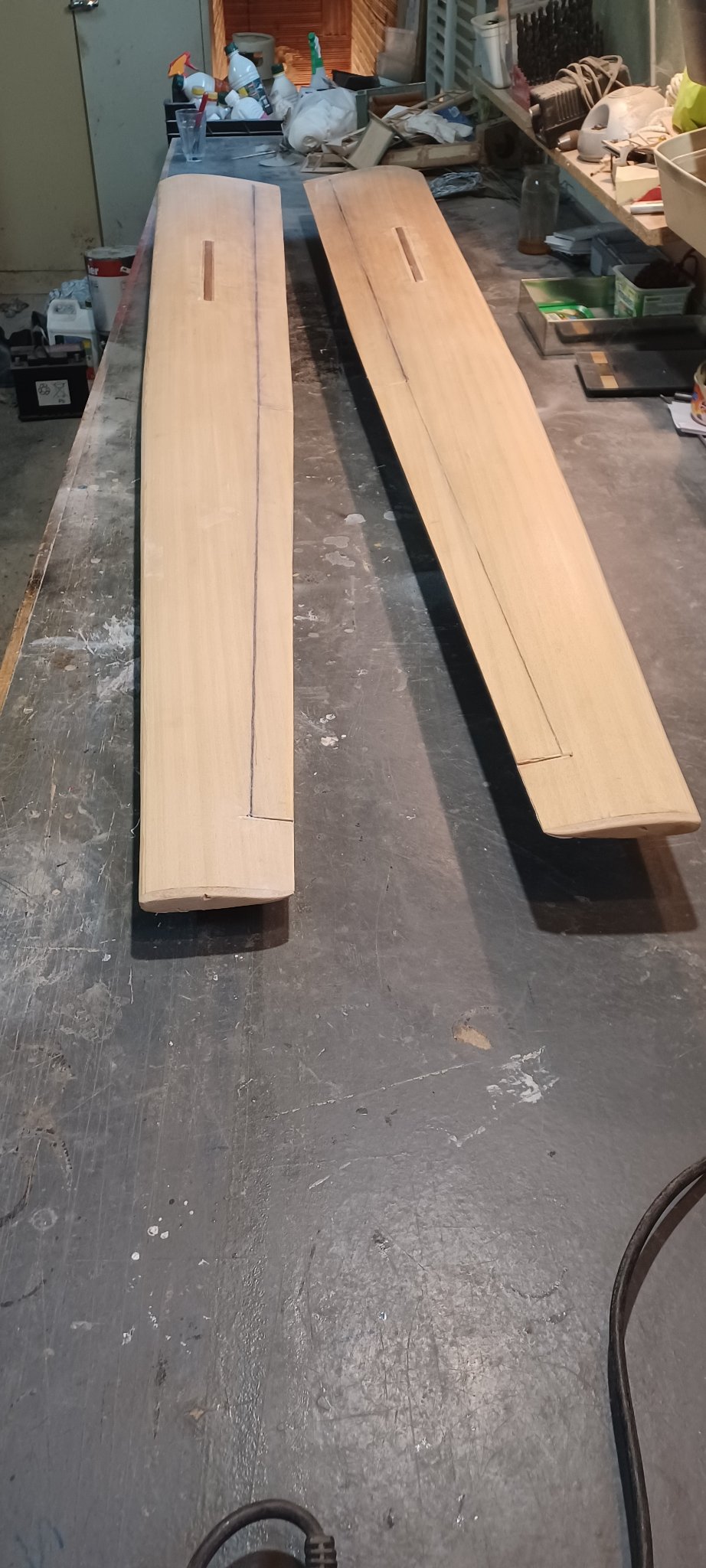 dessus de l aile.jpg