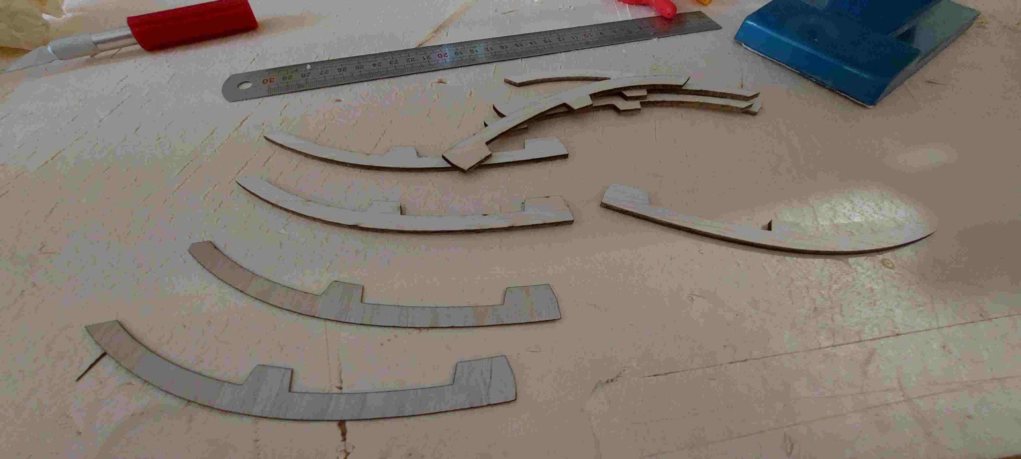 11 saumons ailerons.jpg